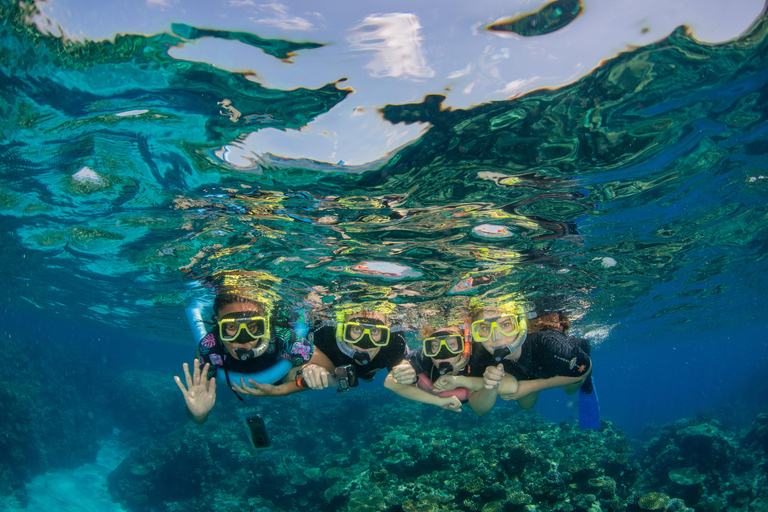 Cairns: Best Value All-inclusive Reef Trip With Scuba Dive