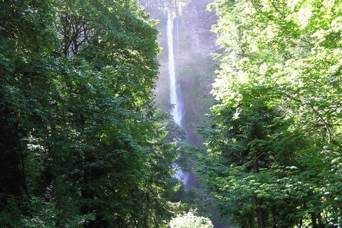 Gorge Explorer - Multnomah Falls & Rose City - PDX09