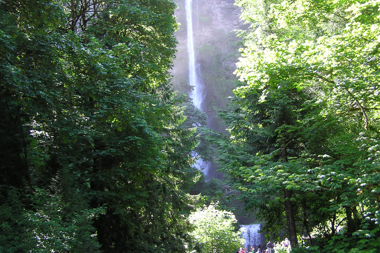 Gorge Explorer - Multnomah Falls & Rose City - PDX09