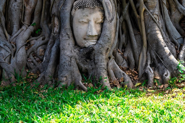 From Bangkok: Ayutthaya Private Day Trip