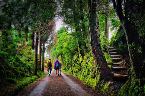 São Miguel: wandeling naar Sete Cidades en kratermeren