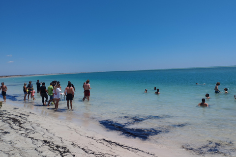 Djerba: Sidi Mahres Beach Water Sports and Sunset Views
