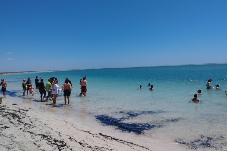 Djerba: Sidi Mahres Beach Water Sports and Sunset Views