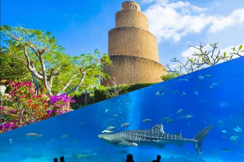 The best Naha Hop-on Hop-off tours 2026 - Free cancellation