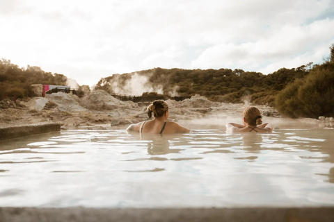 Tauranga: Hells Gate Geothermal Valley & Mud Spa Experience