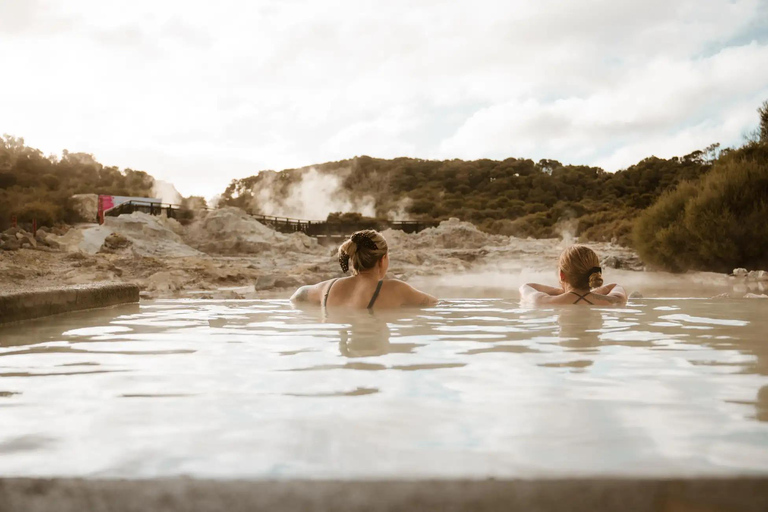 Tauranga: Hells Gate Geothermal Valley & Mud Spa Experience