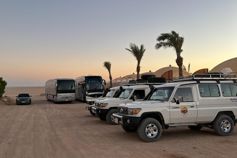 hurghada: Quad Bike, Buggy, and Jeep Safari with Dinner and… super safari