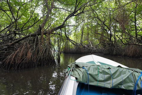 Private Bentota River Safari Tour with Pickup