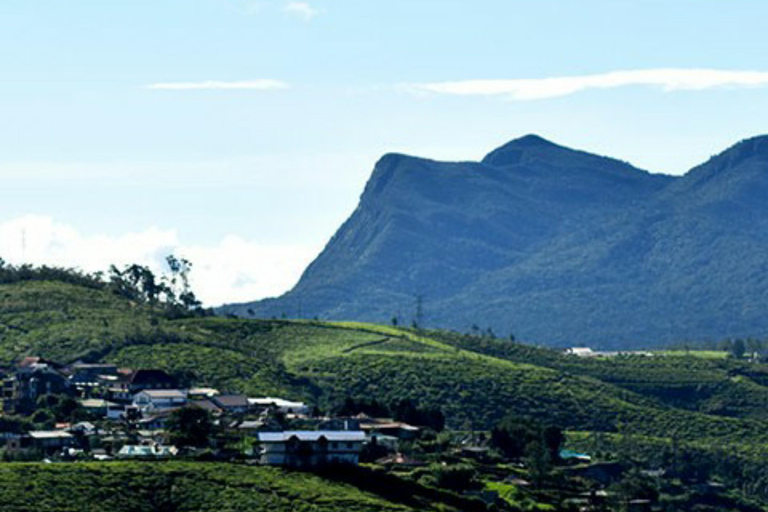 Nanuoya to Kandy Drop Tour With visiting special attractions Nanuoya to Kandy Drop Tour by Car