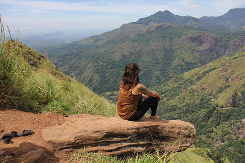 Desde Colombo: Excursión de 4 días a Sri Lanka con alojamiento