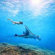From Lembongan: Manta Point Snorkeling & West Penida Tour