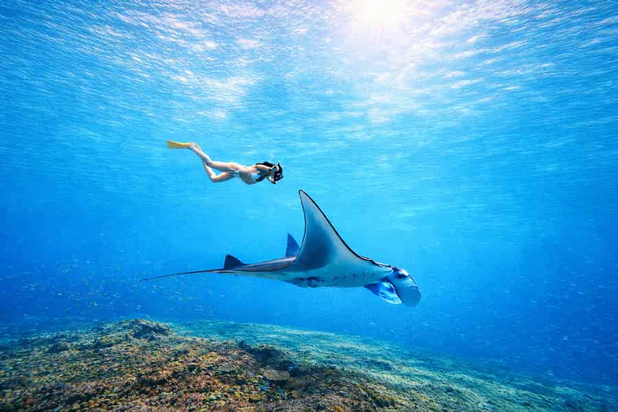 Ab Lembongan: Manta Point Schnorcheln & West Penida Tour. Foto: GetYourGuide