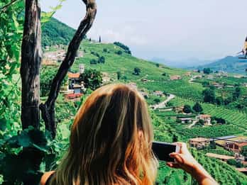Veneza: Visita às adegas das colinas de Prosecco com degustação e almoço
