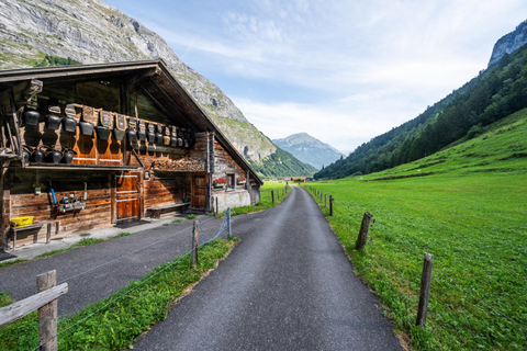 Interlaken: Guided Bus Tour with Swiss Locals