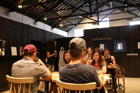 Tour in minibus di un&#039;intera giornata della città di Porto, pranzo e degustazione di vini