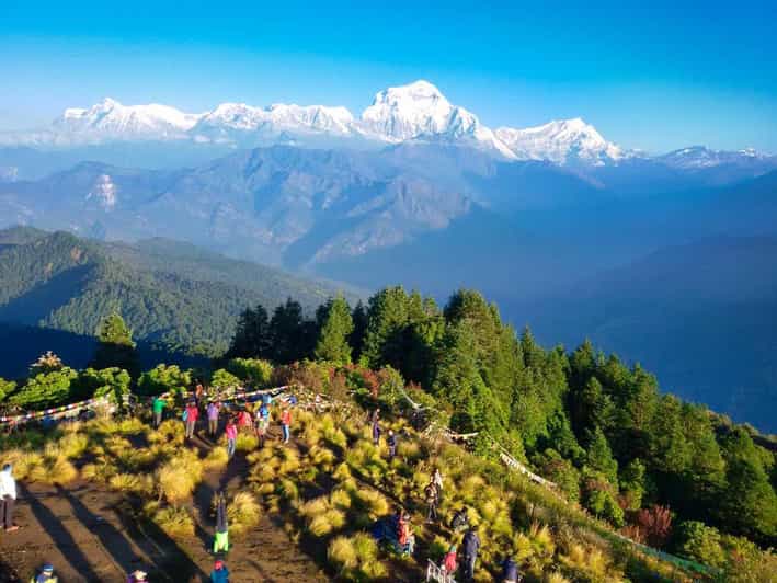 Ghorepani Poon Hill Trek Annapurna Sunrise Trek GetYourGuide