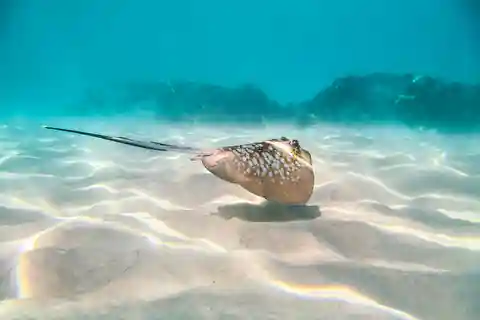 Cairns: Outer and Coral Cay Snorkel and Dive Cruise