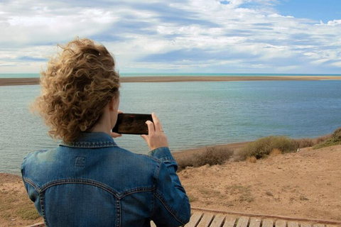 Peninsula Valdes Shore Tour for Cruise Passengers + City