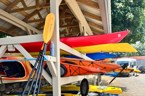 From Boston: Guided Kayak Adventure at the Crane Estate