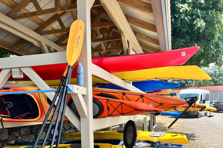 From Boston: Guided Kayak Adventure at the Crane Estate