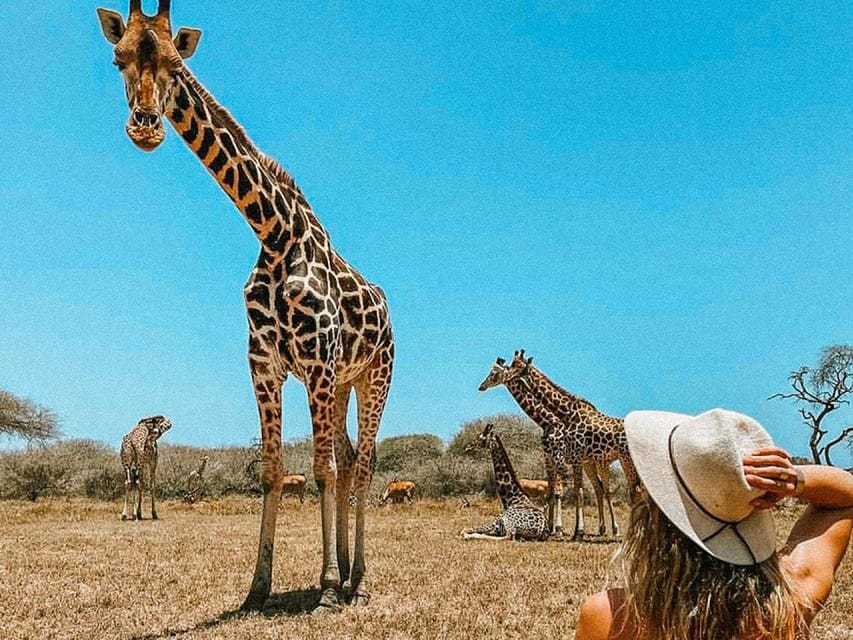 Mombasa: Passeggiata guidata a piedi tra le giraffe nel Parco Haller