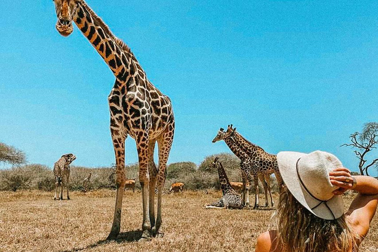 Mombasa : Promenade guidée au milieu des girafes dans le parc Haller.