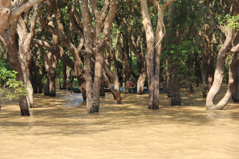 Bosque de Elefantes de Kulen y Lago Tonle Sap en tour privado