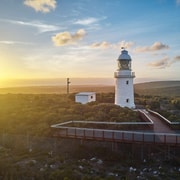 Dunsborough: Cape Naturaliste Lighthouse Guided Tour