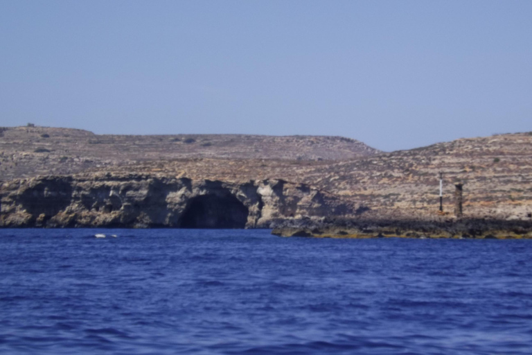 Comino:Blaue Lagune, Kristalllagune, Höhlen, Privatboot Malta