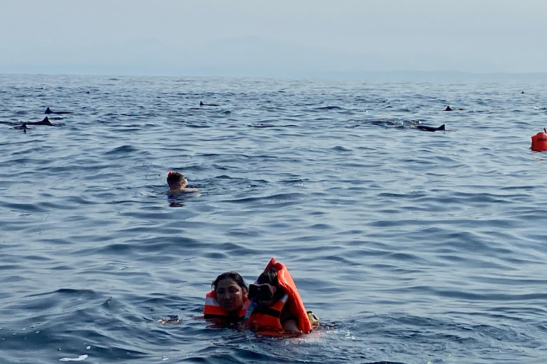 Puerto Escondido: Bootstour zu Delfinen und MeerestierenPrivate Tour