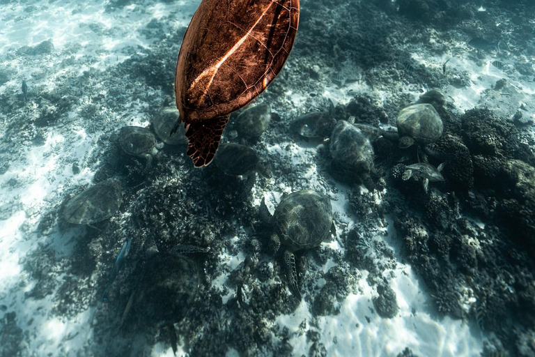 Muscat: Unforgettable Private Daymaniyat Boat Experience