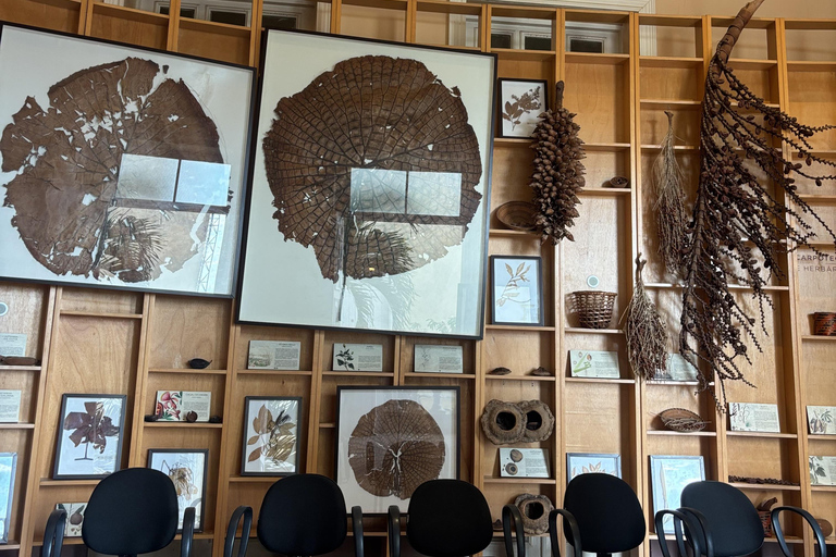 Manaus: Indigenous Culture and History Guided Tour