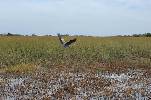 Everglades : tour en bateau avec transport&amp; entrée inclus