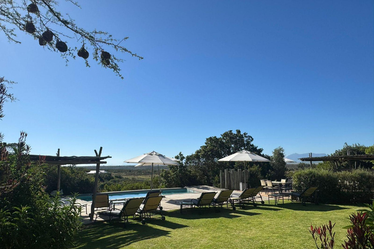 2-Day Safari with Big 5 Game Drives, at amazing 4-Star Lodge Wildlife Lions Safari 2-day Garden Route