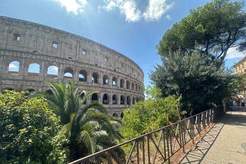 Small Group Guided Tour Colosseum Roman Forum, Palatine Hill Standard Tickets