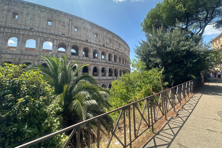 Small Group Guided Tour Colosseum Roman Forum, Palatine Hill Standard Tickets