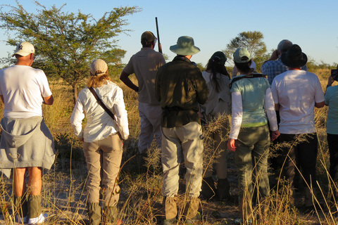 维多利亚瀑布：直升机飞行与野生动物Safari组合维多利亚瀑布：直升机飞行与野生动物Safari组合游