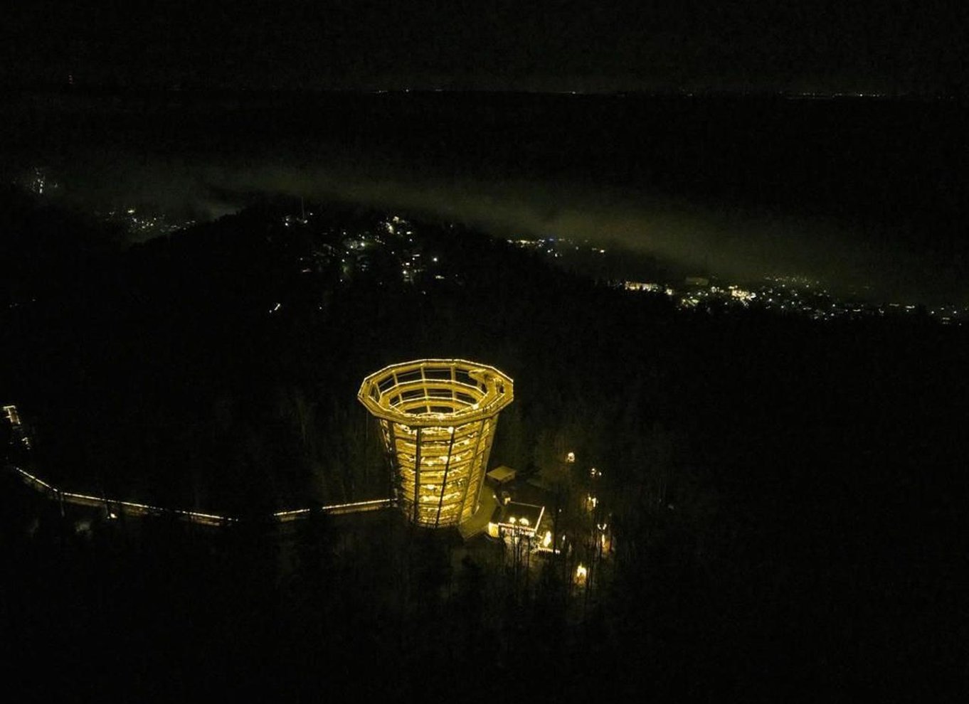 Schwarzwald: Treetop Walk & Lookout Tower Experience