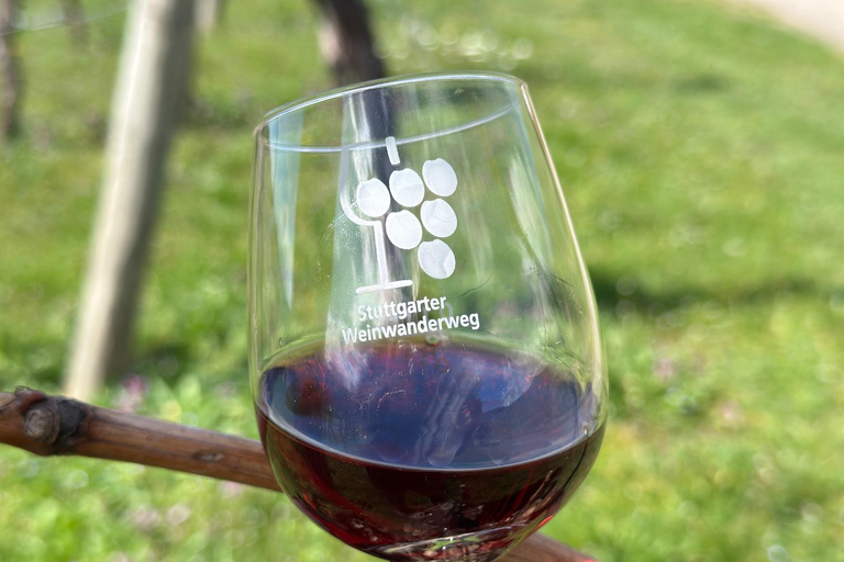 Stuttgart: From the Cellar to the Vine – Experience Wine Up Close Stuttgart: From the cellar to the vine – experience wine up close