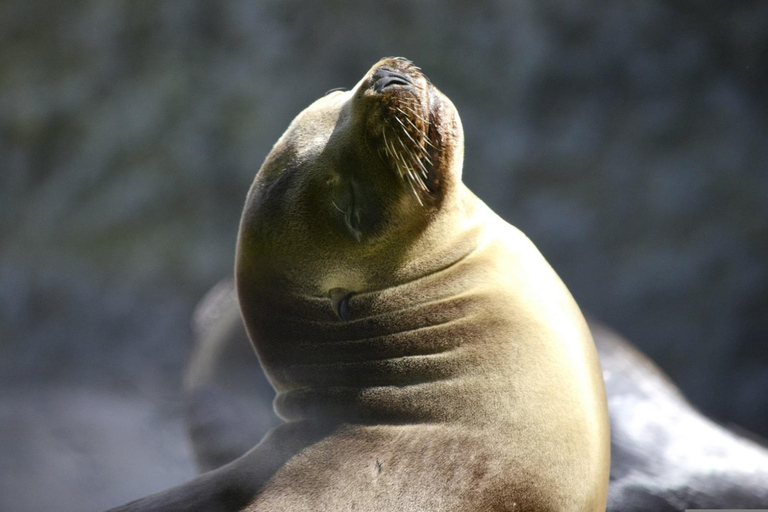 Expedición de 2 días Paracas, Huacachina y Nazca: Maravillas de la Costa