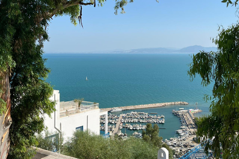 Tunis Express :Carthage, Sidi Bou Saïd & Médina with GENZ
