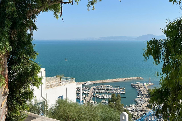Tunis Express :Carthage, Sidi Bou Saïd & Médina with GENZ