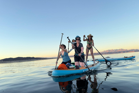 Lake Mead: Giant Paddle Board guided Tour includes 4 people