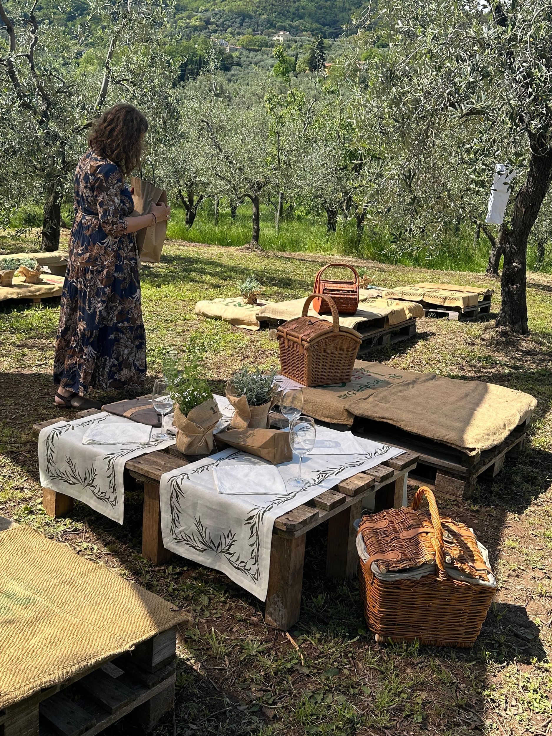 Montecatini Alto: Gourmet-Picknick unter Olivenbäumen mit EVO-Öl