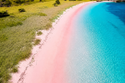 Lombok: Pink Beach & Gili Islands Private Snorkeling Tour