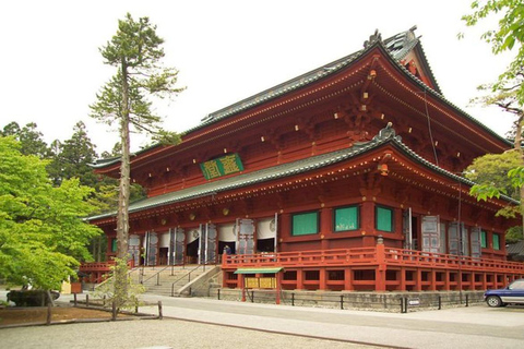 东京出发：日光私人导览之旅含午餐