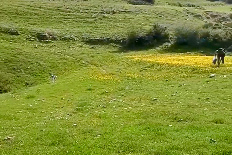 Patras: Escursione all&#039;alba a Panachaiko con colazione e cascata