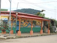 Ruta de las Flores & Café Albania - Housity