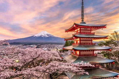 From Tokyo: Mount Fuji day Trip with English Speaking Driver