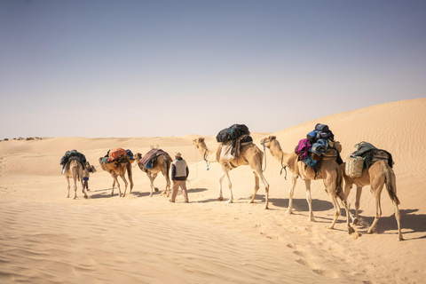 Due giorni e una notte in un campo, Ksar Ghilane da Djerba